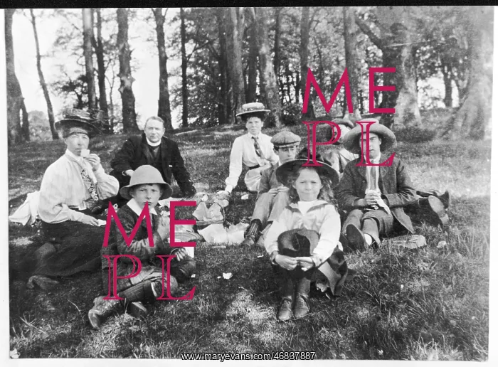 : EDWARDIAN PICNIC : EDWARDIAN PICNIC