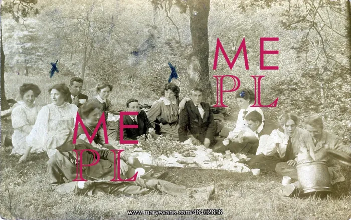  : Edwardian Picnic