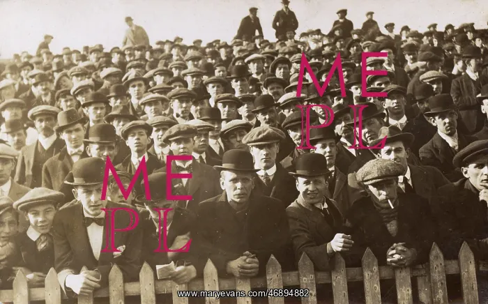: Edwardian spectators at an event : Edwardian spectators at an event