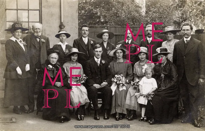 : Edwardian Wedding Party - Tonbridge, Ken : Edwardian Wedding Party - Tonbridge, Ken