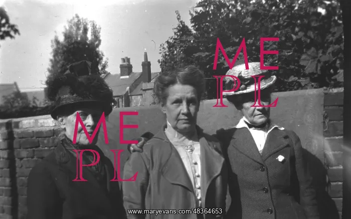  : Edwardian woman & sisters