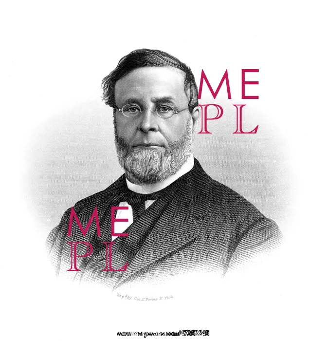: EDWIN HUBBELL CHAPIN : EDWIN HUBBELL CHAPIN