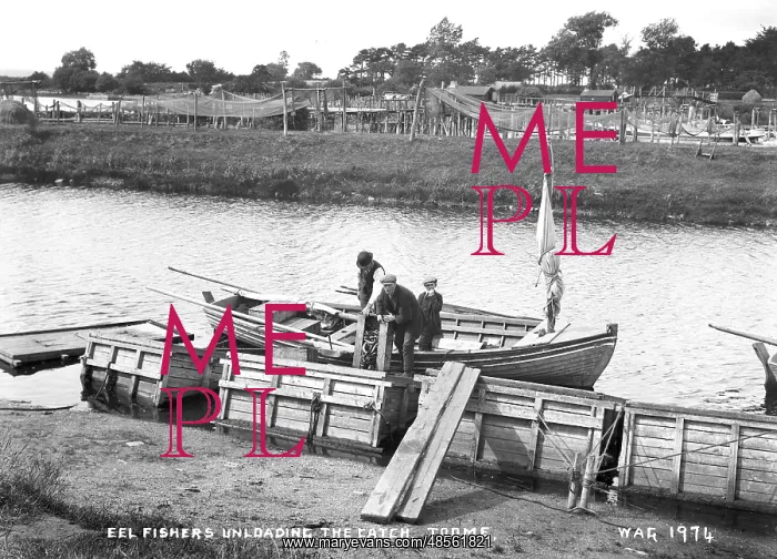 : Eel Fishers Unloading the Catch. Toome : Eel Fishers Unloading the Catch. Toome