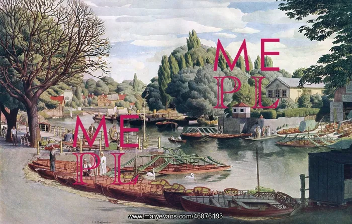 : Eel Pie Island from Twickenham : Eel Pie Island from Twickenham