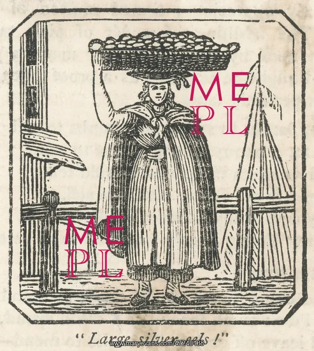  : EEL SELLER