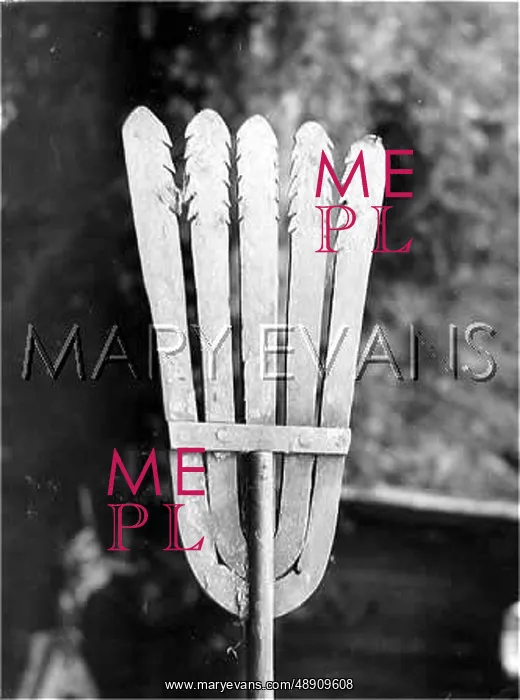 : AN EEL SPEAR : AN EEL SPEAR