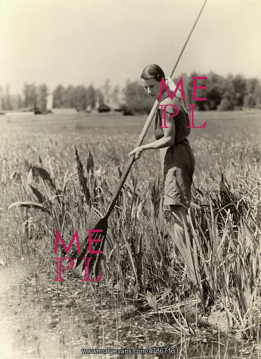 : Eel spearing on the Broads, 1932 : Eel spearing on the Broads, 1932