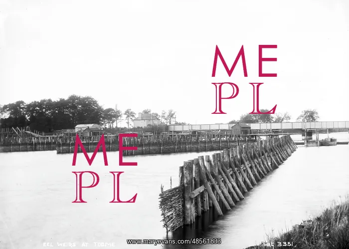 : Eel Weirs at Toome : Eel Weirs at Toome