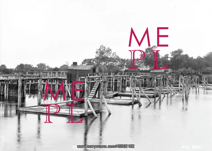 : Eel Weirs, Toomebridge : Eel Weirs, Toomebridge