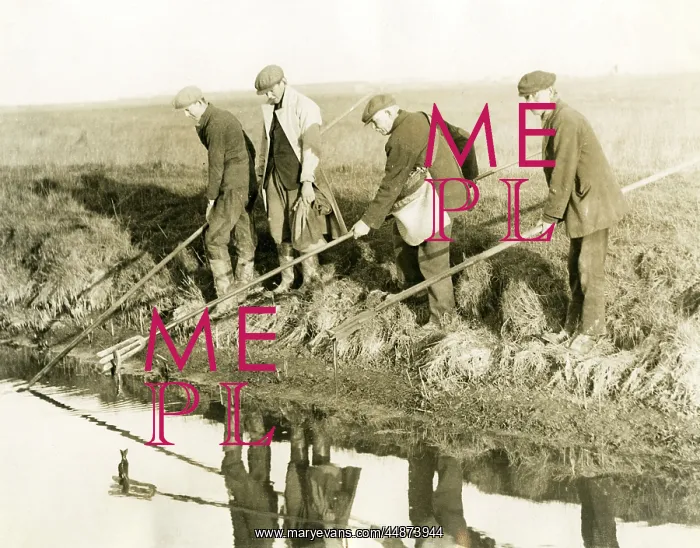 : EELING IN KENT / 1930S : EELING IN KENT / 1930S