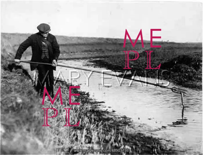 : EELING IN KENT / 1930S : EELING IN KENT / 1930S