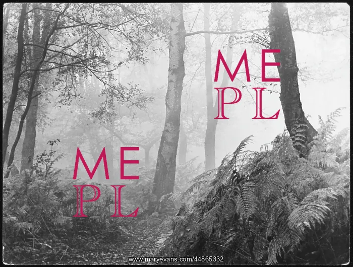: Eerie Woodland : Eerie Woodland