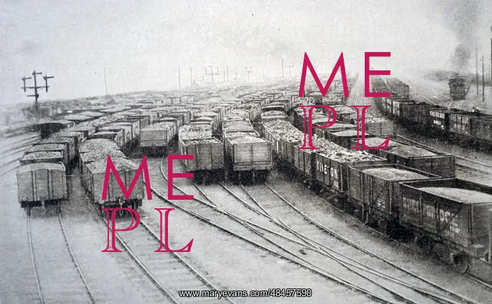 : The Effect of a Coal Stoppage : The Effect of a Coal Stoppage