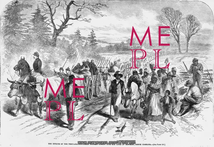 : Effects of Emancipation Proclamation : Effects of Emancipation Proclamation