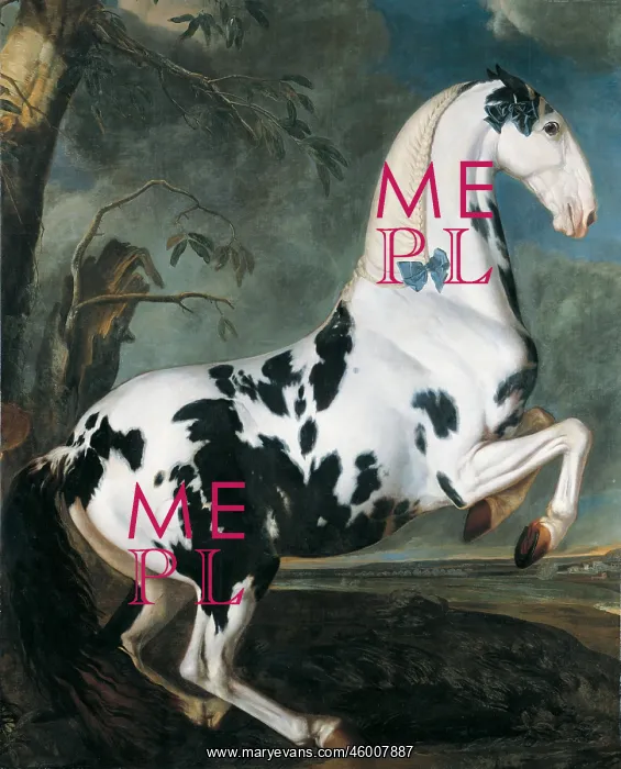 : Effigy of a skewbald horse : Effigy of a skewbald horse