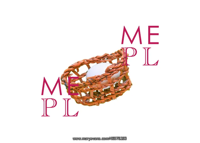 : Egg Basket : Egg Basket