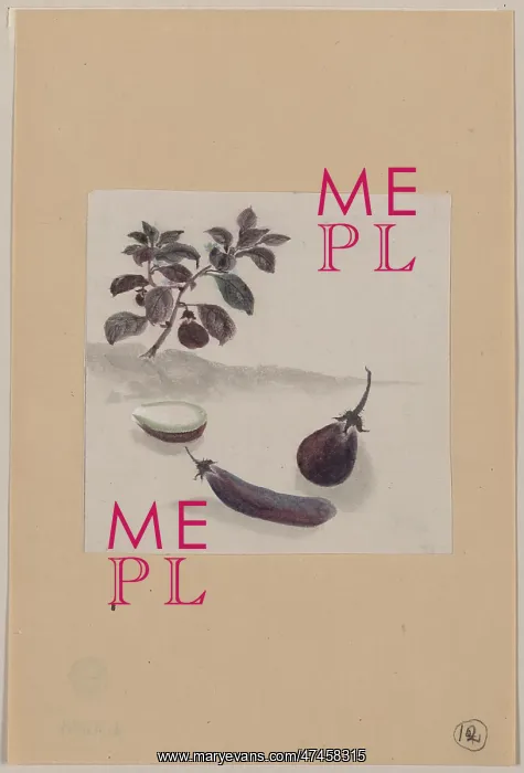 : Eggplants with plant growing in the background : Eggplants with plant growing in the background