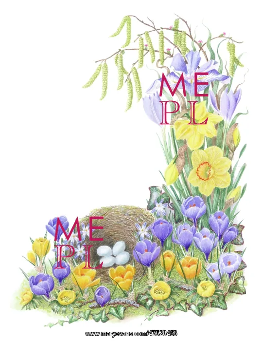: Four eggs in a nest with crocuses etc : Four eggs in a nest with crocuses etc