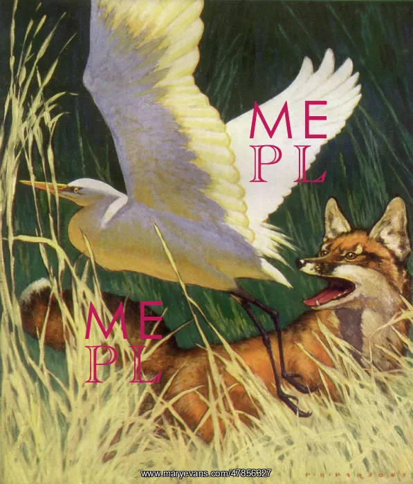  : Egret Flees FoX
