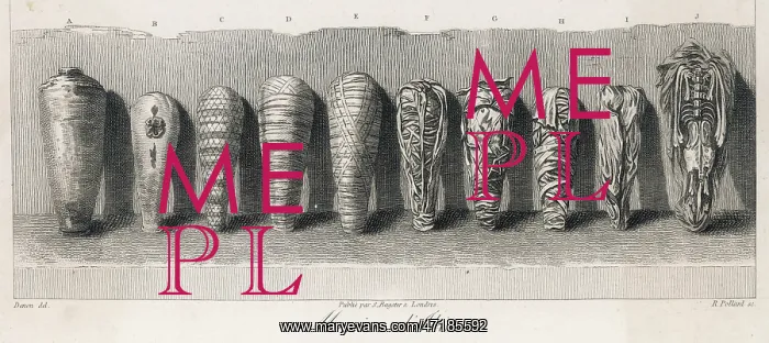 : EGYPT / ARCHAEOLOGY / MUMMIE : EGYPT / ARCHAEOLOGY / MUMMIE