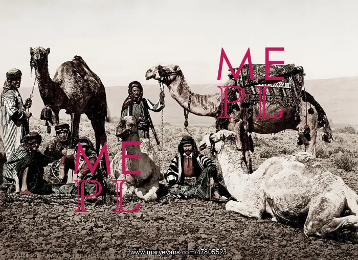  : Egypt, halt of a camel train in the desert