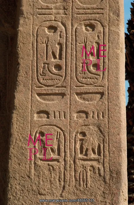 : Egypt. Hieroglyphic writing. Cartridge : Egypt. Hieroglyphic writing. Cartridge