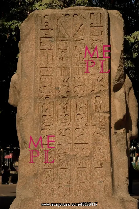 : Egypt. Hieroglyphic writing. Cartridge. Back of a statue : Egypt. Hieroglyphic writing. Cartridge. Back of a statue
