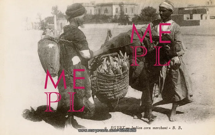 : Egypt - Indian Corn Merchant with laden donkey : Egypt - Indian Corn Merchant with laden donkey