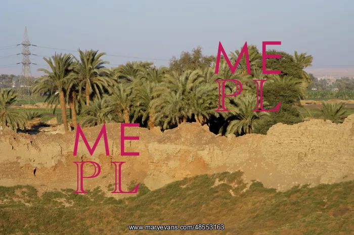  : Egypt. Landscape outside Dendera Temple