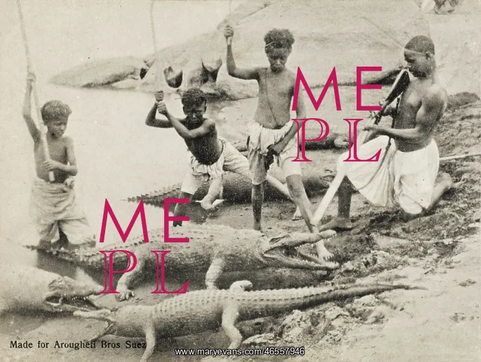 : Egypt - Nile - Children with Crocodiles : Egypt - Nile - Children with Crocodiles