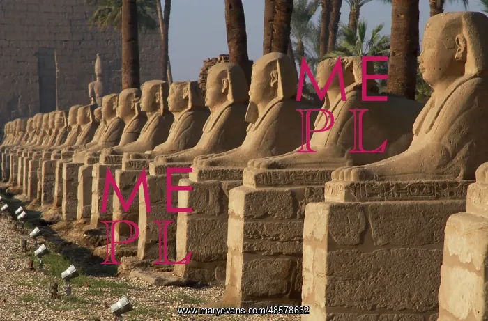 : EGYPT. TEMPLE OF LUXOR. Avenue of the Sphinxes : EGYPT. TEMPLE OF LUXOR. Avenue of the Sphinxes