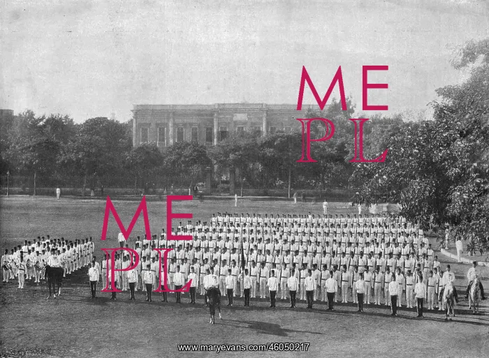 : Egyptian army : Egyptian army