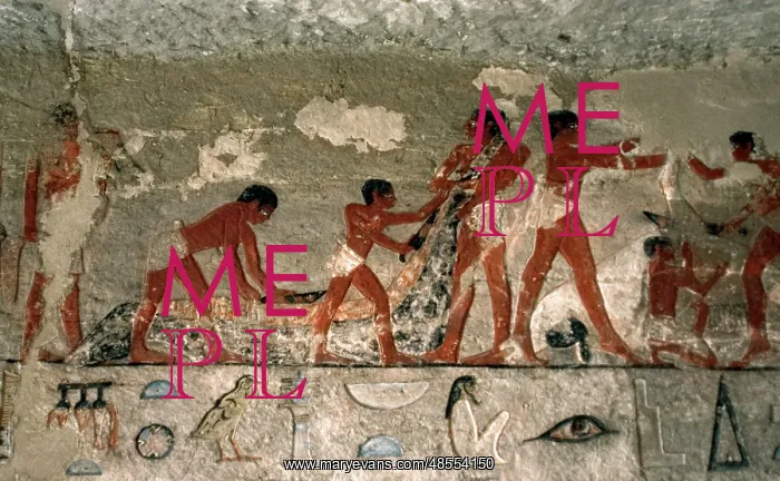 : Egyptian Art. Crocodile's hunt. Relief. Mastaba. Necropolis : Egyptian Art. Crocodile's hunt. Relief. Mastaba. Necropolis