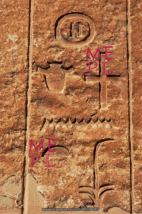 : Egyptian Art. Necropolis of Saqqara. Hieroglyphs in a mastab : Egyptian Art. Necropolis of Saqqara. Hieroglyphs in a mastab