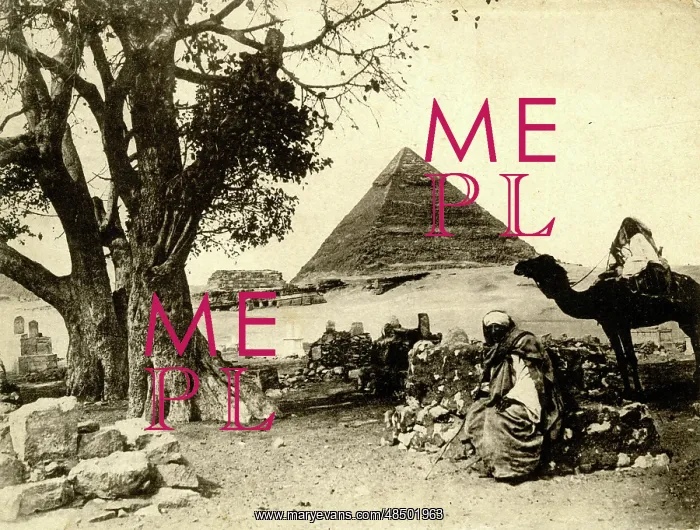  : Egyptian and camel with a pyramid behind