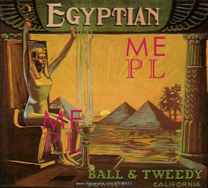  : Egyptian Empress