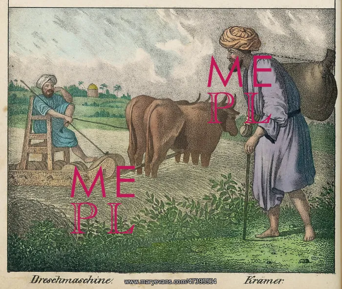 : EGYPTIAN FARMER : EGYPTIAN FARMER