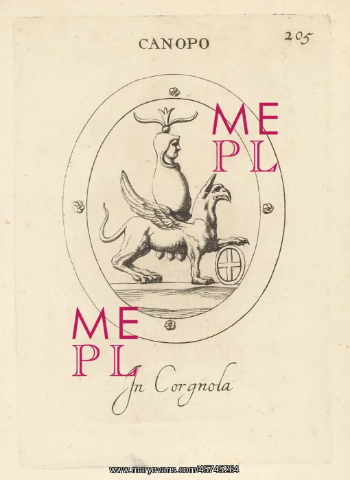 : The Egyptian god Canopus, a human head on a hydra : The Egyptian god Canopus, a human head on a hydra