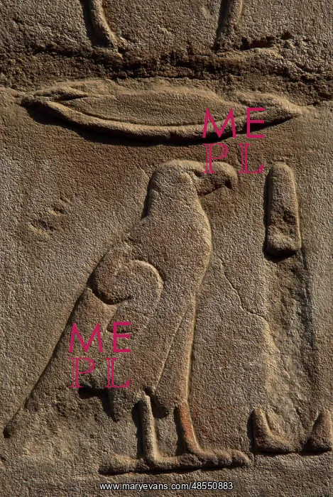 : Egyptian hieroglyph shaped like an eagle : Egyptian hieroglyph shaped like an eagle