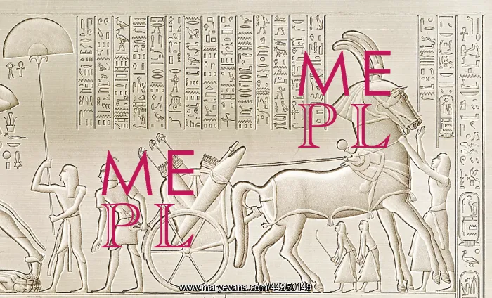  : Egyptian Hieroglyphics