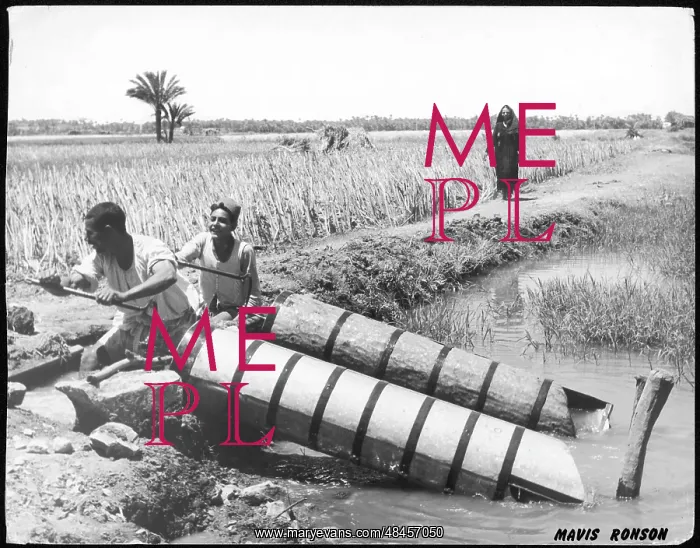 : EGYPTIAN IRRIGATION : EGYPTIAN IRRIGATION