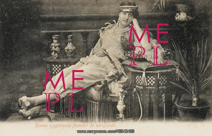 : Egyptian Lady of the Turkish Harem : Egyptian Lady of the Turkish Harem