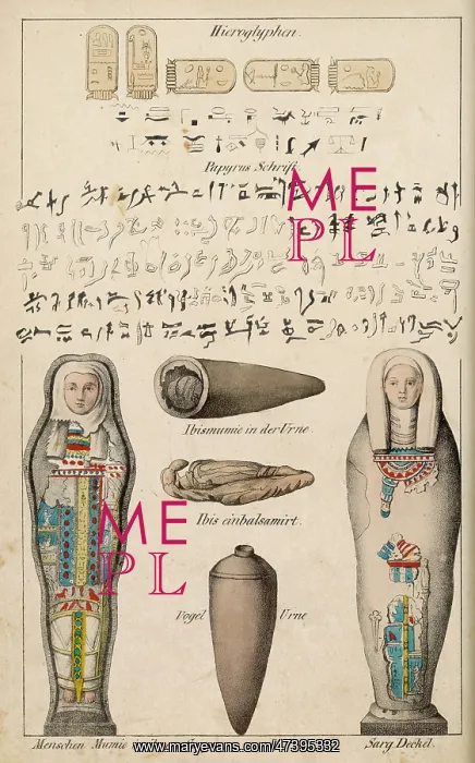 : EGYPTIAN MUMMIES : EGYPTIAN MUMMIES