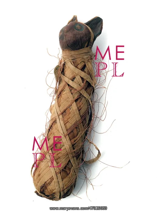 : Egyptian mummified cat : Egyptian mummified cat