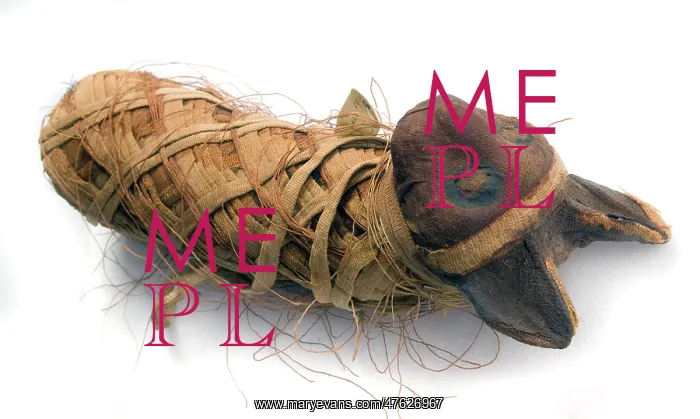 : Egyptian mummified cat : Egyptian mummified cat