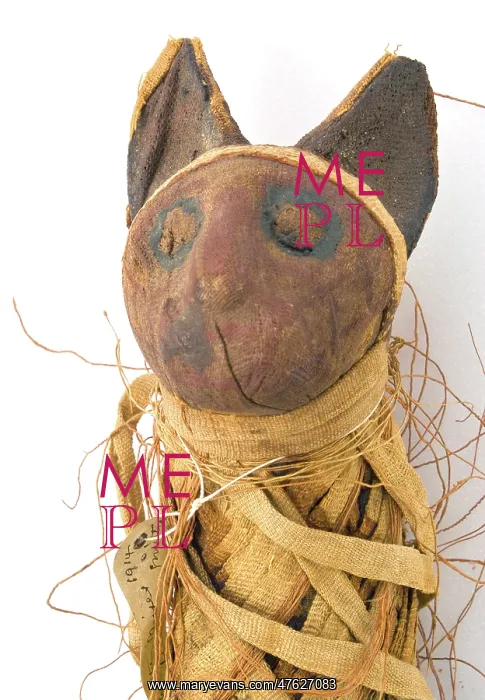 : Egyptian mummified cat : Egyptian mummified cat