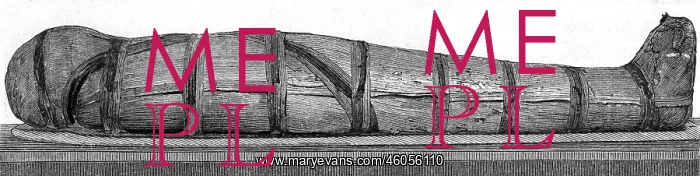 : An Egyptian Mummy : An Egyptian Mummy