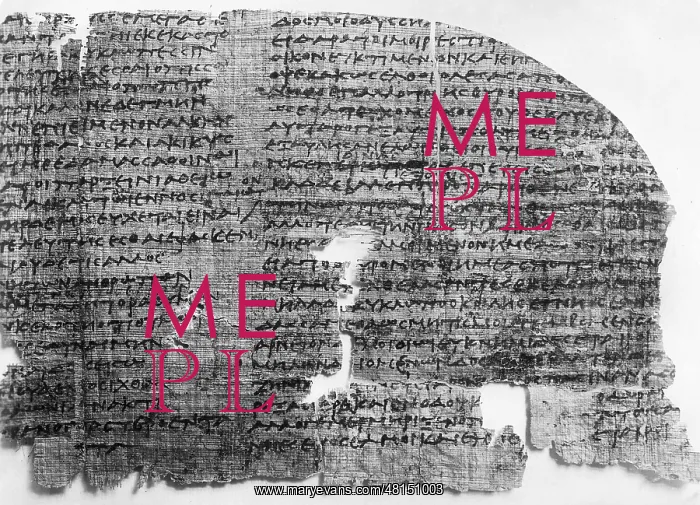  : Egyptian Papyrus