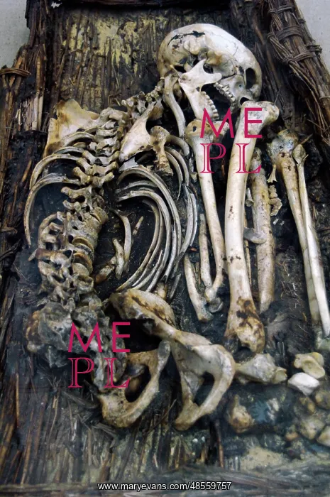 : Egyptian skeleton : Egyptian skeleton