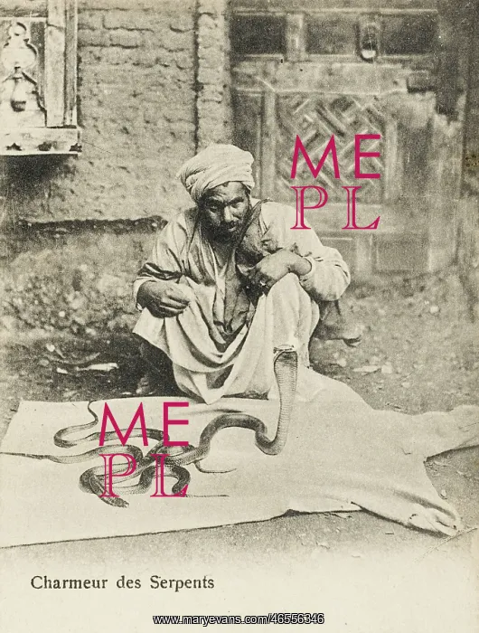  : Egyptian snake charmer